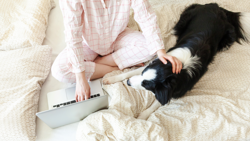 Woman Working in Bed with Laptop and Dog